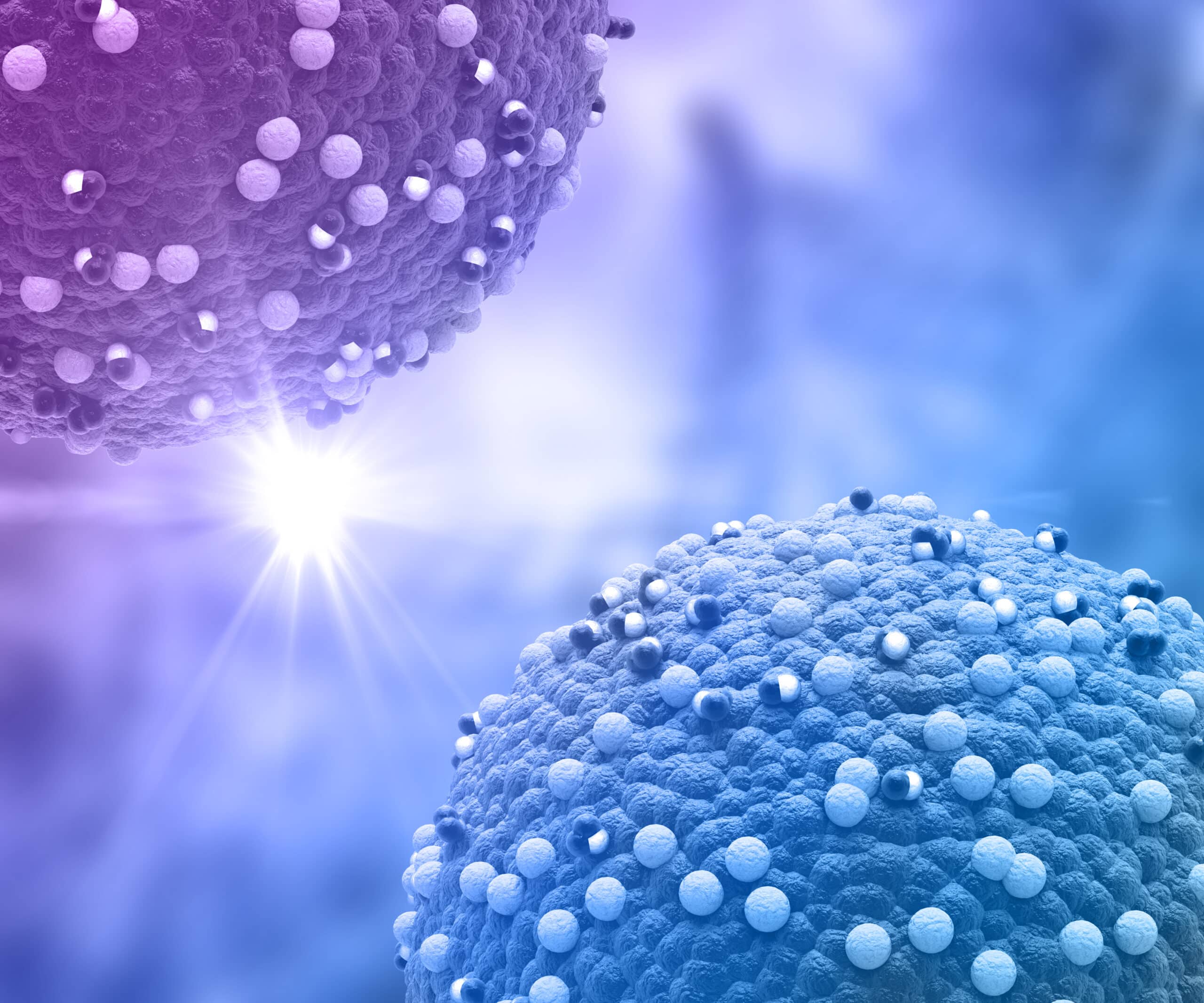 Drug metabolism